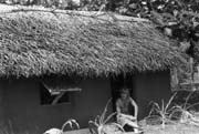 1976_hut_in_niuatoputapu