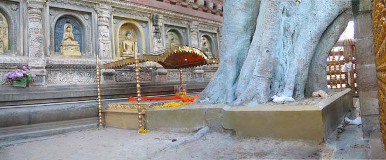 bodh_gaya__18