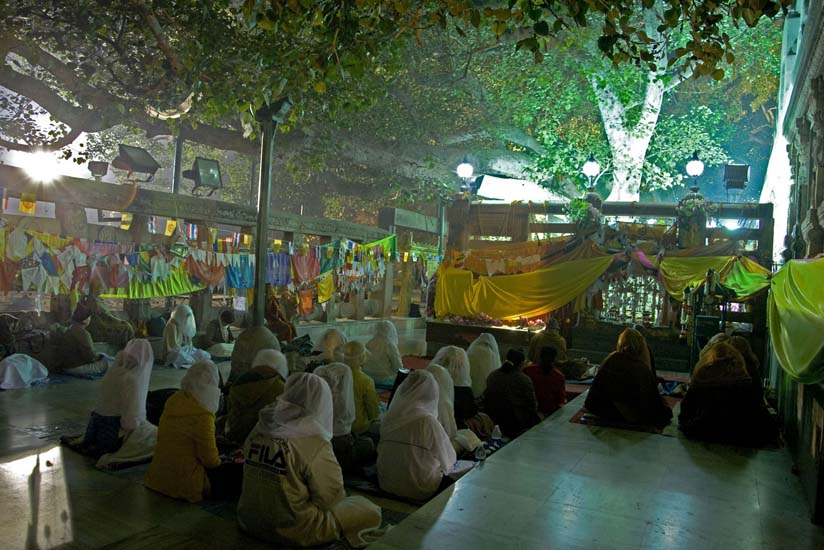 bodh_gaya__20