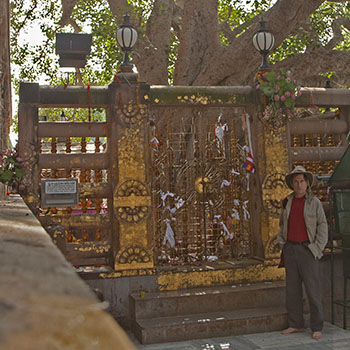 Tom Riddle under the Bodhi tree in Bodh Gaya, 2018