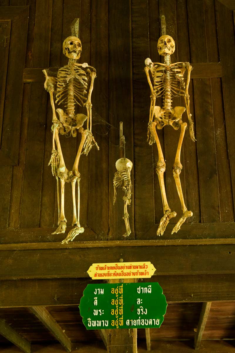 Miss Chaing Mai and friends