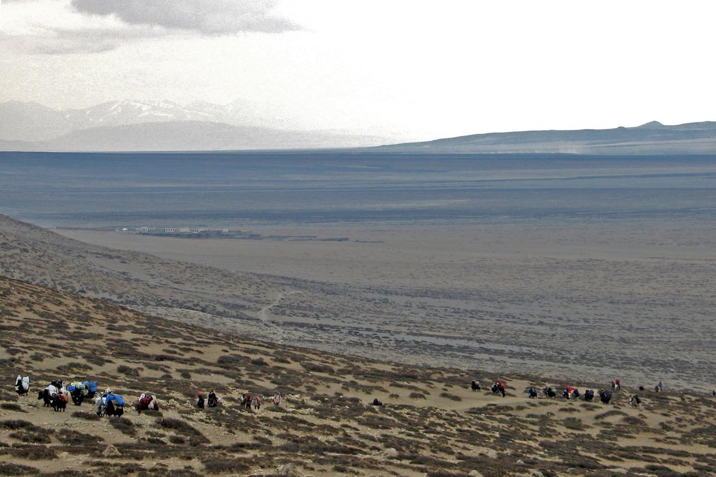 017