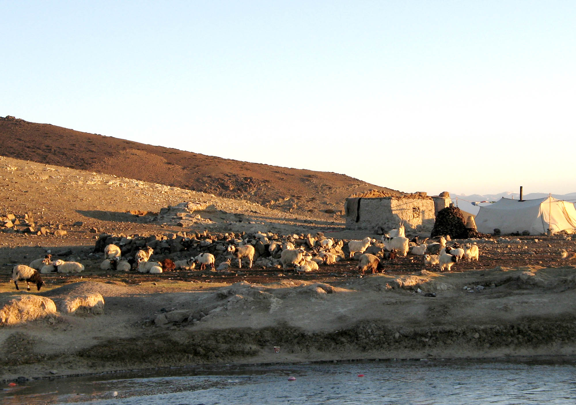 Nomad Encampment