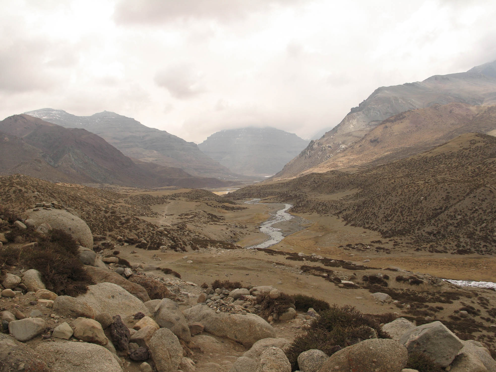 Looking Back at the Trail
